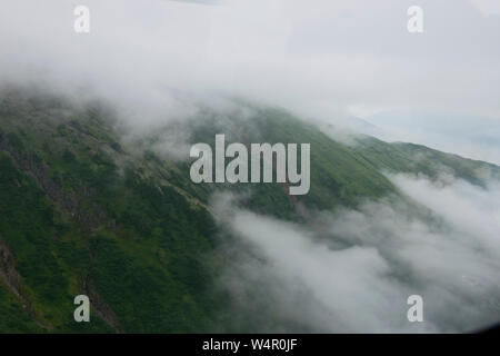 Vista aerea di Mendenhall e Norris ghiacciai in Alaska. Foto Stock