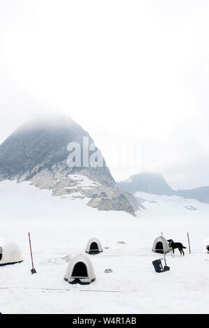 Cane case di montagna su Norris, ghiacciaio, Alaska. Foto Stock