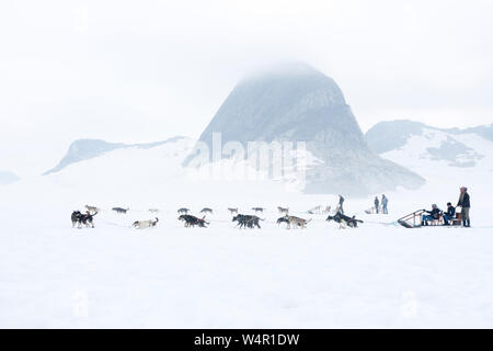 Case di cane su Norris, ghiacciaio, Alaska. Foto Stock