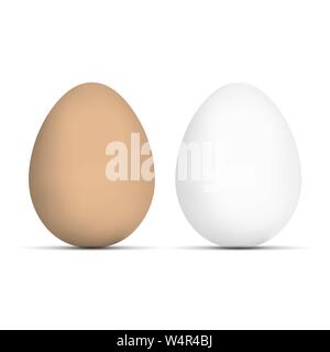 Vettore di realistiche uova. Uovo di marrone e bianco uovo isolato su bianco Illustrazione Vettoriale