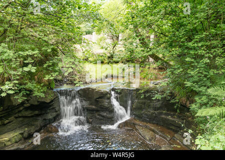 Cascata in Middlehope masterizzare sopra Westgate in Weardale, Co. Durham, England, Regno Unito Foto Stock
