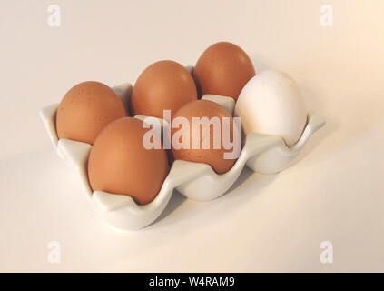 Sei uova in ceramica; uno bianco e cinque uova di colore marrone Foto Stock