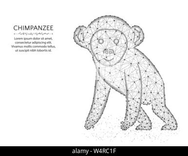 Una scimmia bassa poli design, animale africano grafica astratta, primate wireframe poligonale illustrazione vettoriale costituito da punti e linee su un retro bianco Illustrazione Vettoriale