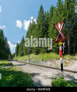 Sentiero attraversa i binari della ferrovia nella foresta a un non custodito attraversamento ferroviario Foto Stock