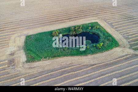 Petersdorf, Germania. Il 24 luglio, 2019. Un piccolo lago, circondato da verdi prati, può essere visto nel mezzo di un grano raccolto campo, dove la paglia giace come una andana (fotografia aerea con un drone). Una andana o swath è il nome dato alla paglia giacente in righe dopo la mietitura del grano che viene successivamente pressato in rotoli o in balle. Credito: Patrick Pleul/dpa-Zentralbild/ZB/dpa/Alamy Live News Foto Stock