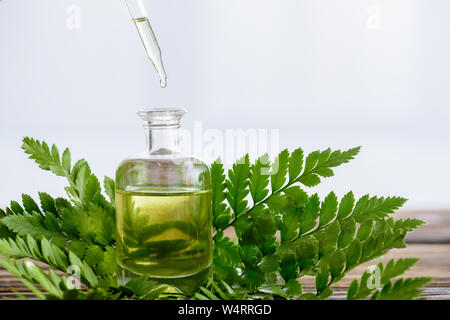 Bottiglia con olio essenziale, contagocce verde e foglie di felce su sfondo bianco Foto Stock