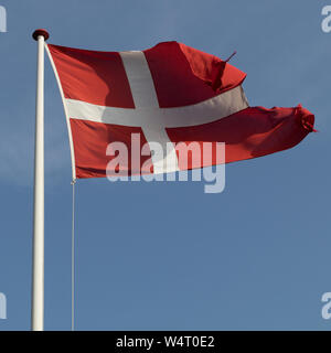 Bandiera danese soffiando nel vento, Danimarca Foto Stock