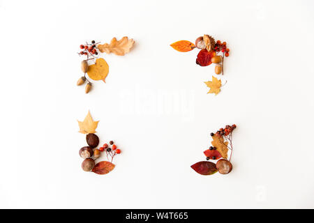 Foglie di autunno, castagne, ghiande e bacche telaio Foto Stock