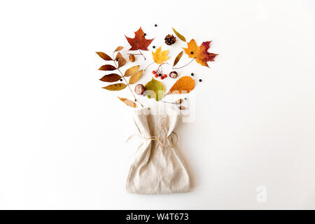 Foglie di autunno, castagne, ghiande di bacche e di borsa Foto Stock