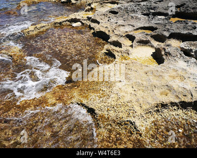 Close-up di una costa rocciosa, Bugibba, Malta Foto Stock