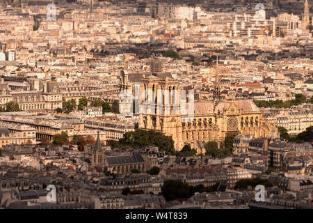 La cattedrale di Notre Dame, Paris, Francia Foto Stock