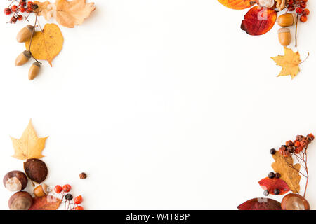 Foglie di autunno, castagne, ghiande e bacche telaio Foto Stock