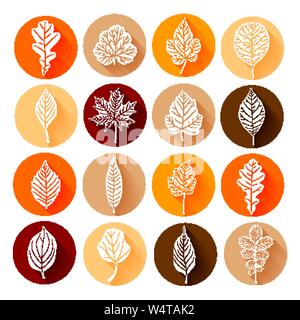 Autunno foglie colorate vettore set Illustrazione Vettoriale