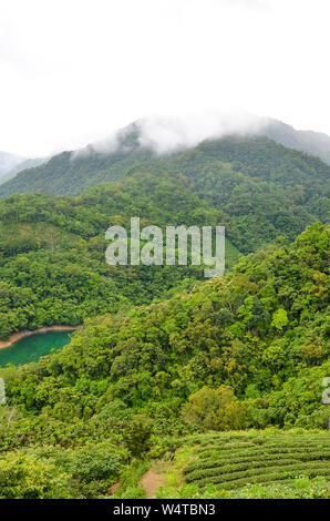 Foto verticale di verde paesaggio di Taiwan da mille isole del lago. Pinglin adiacenti la piantagione di tè da Costa. La nebbia, moody paesaggi. La foresta tropicale. Luoghi di viaggio in Taiwan. Foto Stock