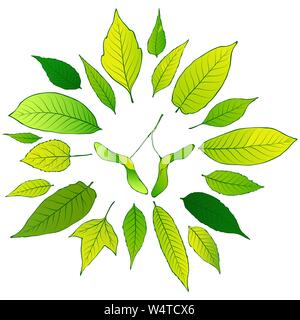 Telaio del vettore di foglie verdi Illustrazione Vettoriale