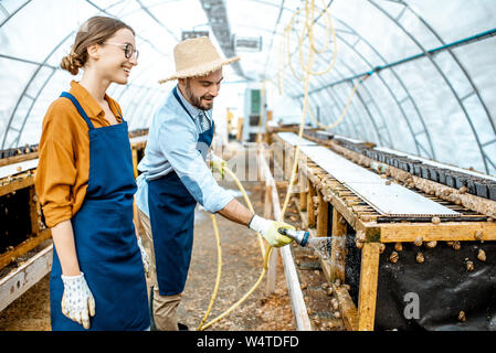 Uomo e donna che lavorano in serre riscaldate in una fattoria per la coltivazione di lumache, lavaggio ripiani con pistola ad acqua. Concetto di allevamento di lumache per mangiare Foto Stock