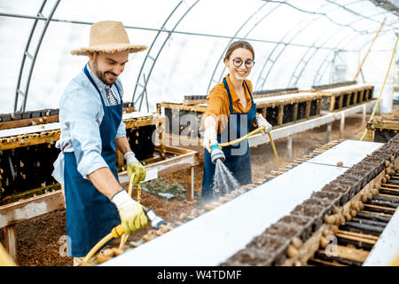 Uomo e donna che lavorano in serre riscaldate in una fattoria per la coltivazione di lumache, lavaggio ripiani con pistola ad acqua. Concetto di allevamento di lumache per mangiare Foto Stock