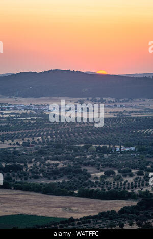Vista tramonto su campi Monsaraz, Alqueva, Portogallo Foto Stock