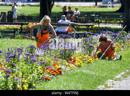 Leipzig, Germania. Xxv Luglio, 2019. Ulrike Görgen-Lahr (l) e Steffi Lindner dal Leipziger Stadtreinigung lavorare sotto il sole cocente per ottenere la fioritura delle piante in fiore i letti del "Unteren Park' a Lipsia la principale stazione ferroviaria attraverso il calore d'estate. Credito: Jens Kalaene/dpa-Zentralbild/dpa/Alamy Live News Foto Stock