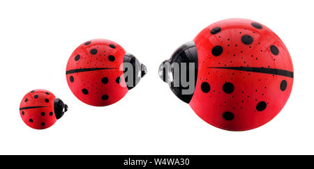 Ladybird figurine su sfondo bianco Foto Stock