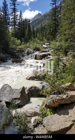 L'acqua cade splendidamente lungo le rocce e massi delle grandi montagne delle Canadian Rockies. Foto Stock