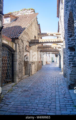 Via medievale nella città vecchia di Tallinn, Estonia, Baltico, Europa Foto Stock