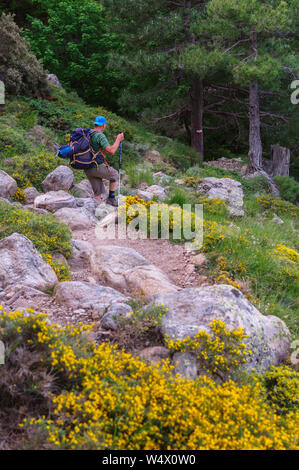 Anziani escursionista durante il GR20 escursione in Corsica, Francia Foto Stock