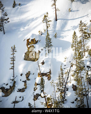 Ripida collina di fresca neve caduti a Yellowstone Foto Stock