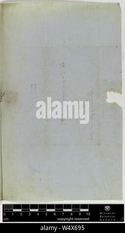 Corrispondenza - Brendel (Federico) e Engelmann (George) (13 maggio 1852 (2)) Foto Stock