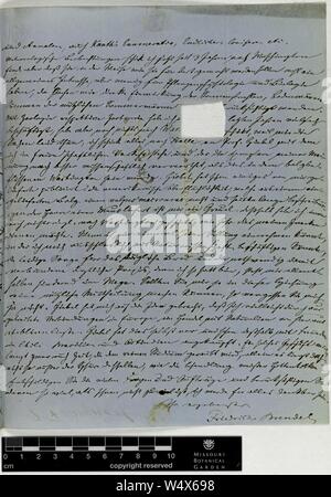 Corrispondenza - Brendel (Federico) e Engelmann (George) (Dic 02, 1858 (2)) Foto Stock