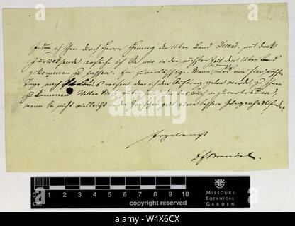 Corrispondenza - Brendel (Federico) e Engelmann (George) Foto Stock