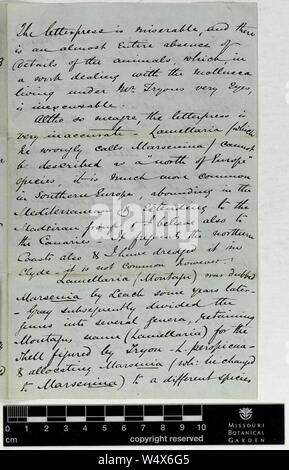 Corrispondenza - marrone (Alfred) e Engelmann (George) (Nov 01, 1873 (1) verso) Foto Stock