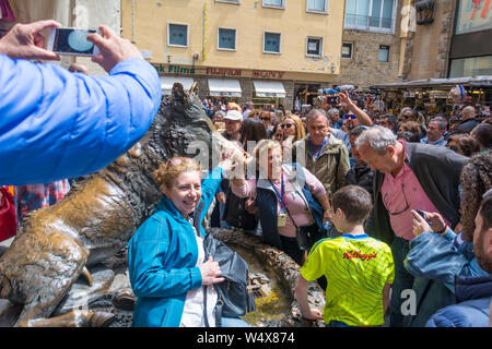 Firenze, Italia - 10 Maggio 2019: Fontana del Porcellino, un cinghiale in bronzo sfregato da migliaia di mani per fortuna. Toscana, Italia Foto Stock