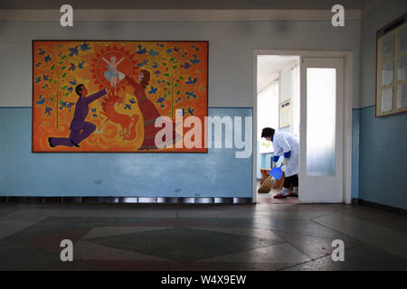 Una donna di pulizia per la pulizia del piano di ingresso al reparto di maternità nel Policlinico di Ivankov Poliske, raion, Oblast di Kiev, Ucraina settentrionale Foto Stock