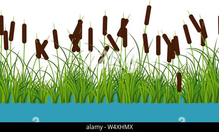 Vettore steli reed piante con foglie e erba sul fiume e sul lago di acqua. Seamless pattern su sfondo bianco Illustrazione Vettoriale