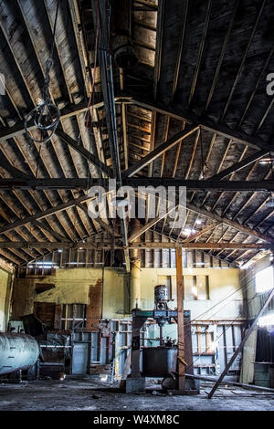 L'immagine verticale interno del vecchio abbandonato cannery edificio adibito a magazzino con lunghe linee di legno vecchio che corre lungo il soffitto. Foto Stock