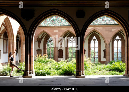 Una vista generale di Basilea Minster, Svizzera Foto Stock