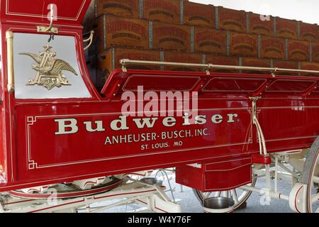 Budweiser Clydesdale team partecipanti nel 2019 Delaware State Fair, Harrington, Delaware, Stati Uniti d'America. Foto Stock