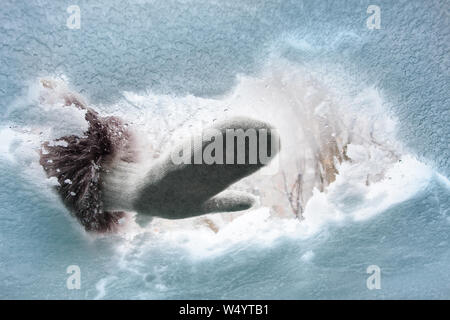 Mano nel guanto di pulizia della finestra auto da neve, vista interna Foto Stock