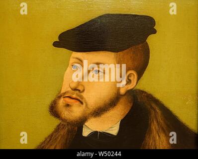 Ritratto dell'Imperatore Carlo V da Lucas Cranach il Vecchio, dettaglio 1533 Annuncio, olio su legno Foto Stock