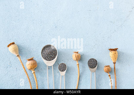 Sessole con semi di papavero e teste essiccato sul colore di sfondo Foto Stock