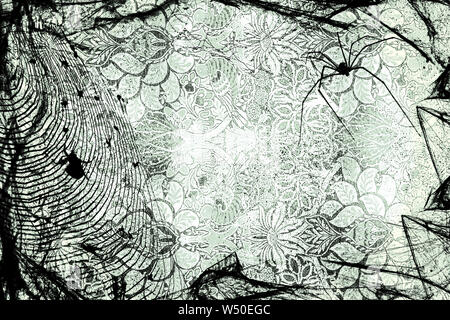 Ragnatela con ragni sul grigio sfondo floreale. Festa di halloween illustrazione monocromatica. Stile Ghotic. Foto Stock