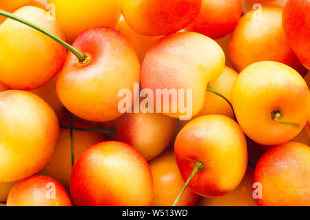 Le ciliegie giallo sfondo alimentare. Close up freschi maturi giallo Rainier Cherrie. Vista da sopra Foto Stock