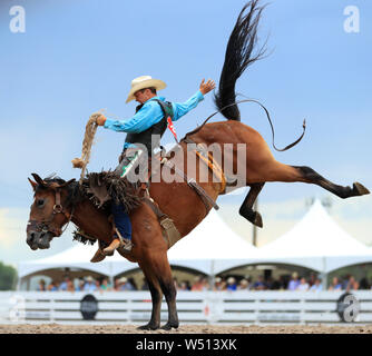 (190726) -- PECHINO, luglio 26, 2019 (Xinhua) -- Un motociclista compete durante la sella bronc riding evento presso il Cheyenne Frontier Days Rodeo in Cheyenne. Stati Uniti, 24 luglio 2019. (Xinhua/Li Ying) Foto Stock