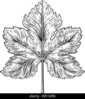 Foglie di uva elemento di design xilografia stile di incisione Illustrazione Vettoriale