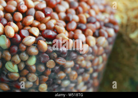 Frittura arachidi, Close up, macro, sbucciate, salate, colorato, fresco e naturale, senza guscio gustosa merenda Foto Stock