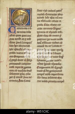 Una Quaglia, sconosciuto, Thérouanne ?, Francia (ex Fiandre), quarto trimestre del XIII secolo (dopo il 1277), tempere, penna e inchiostro, foglia oro e oro dipingere su pergamena, Leaf: 23,3 x 16,4 cm (9 3/16 x 6 7/16 in Foto Stock