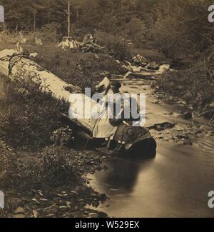 Il mormorio del torrente., Benjamin West Kilburn (American, 1827 - 1909), 1865-1870, albume silver stampa Foto Stock