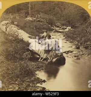 Il mormorio del torrente., Benjamin West Kilburn (American, 1827 - 1909), 1865-1870, albume silver stampa Foto Stock
