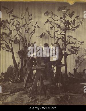 Le scimmie & volatili presso la sig.ra di Maxwell Rocky Mountain Museum, W. G. Chamberlain (American, 1815 - 1910), 1875, albume silver stampa Foto Stock